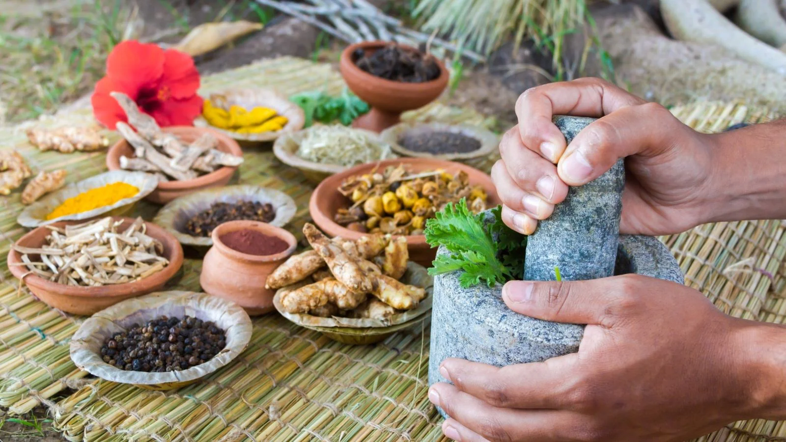 Ayurvedic Drugs