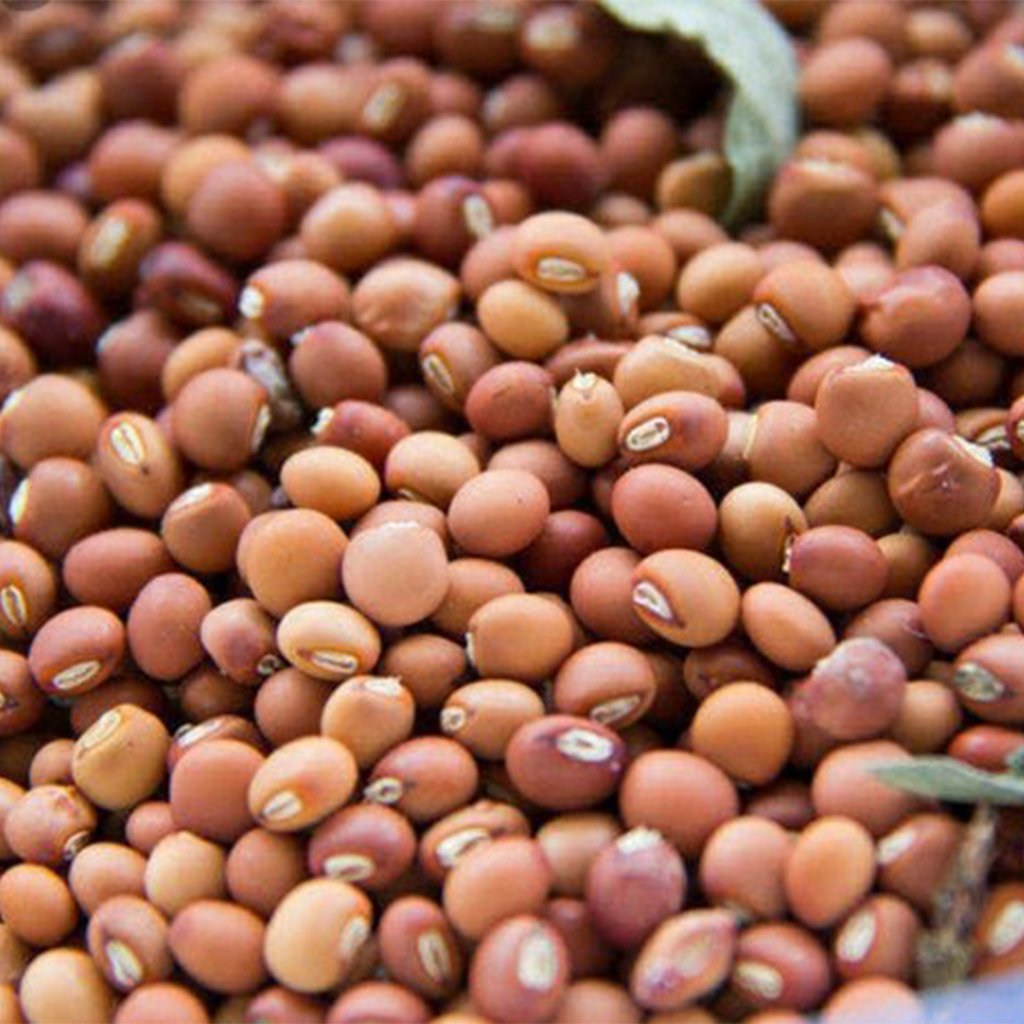 Toor Dal